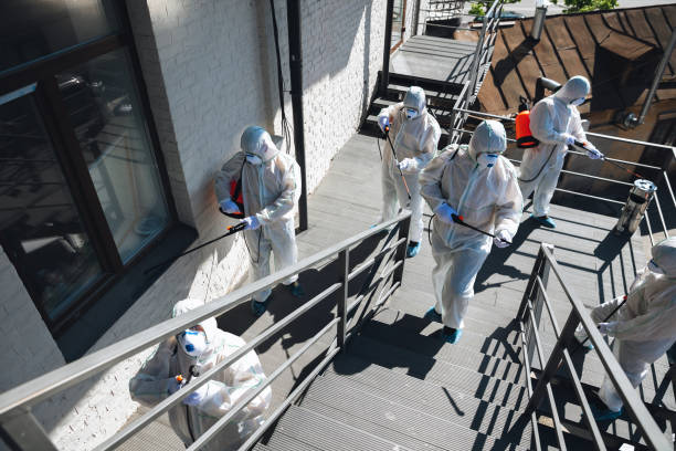 Best Basement Mold Removal  in Fort Ashby, WV